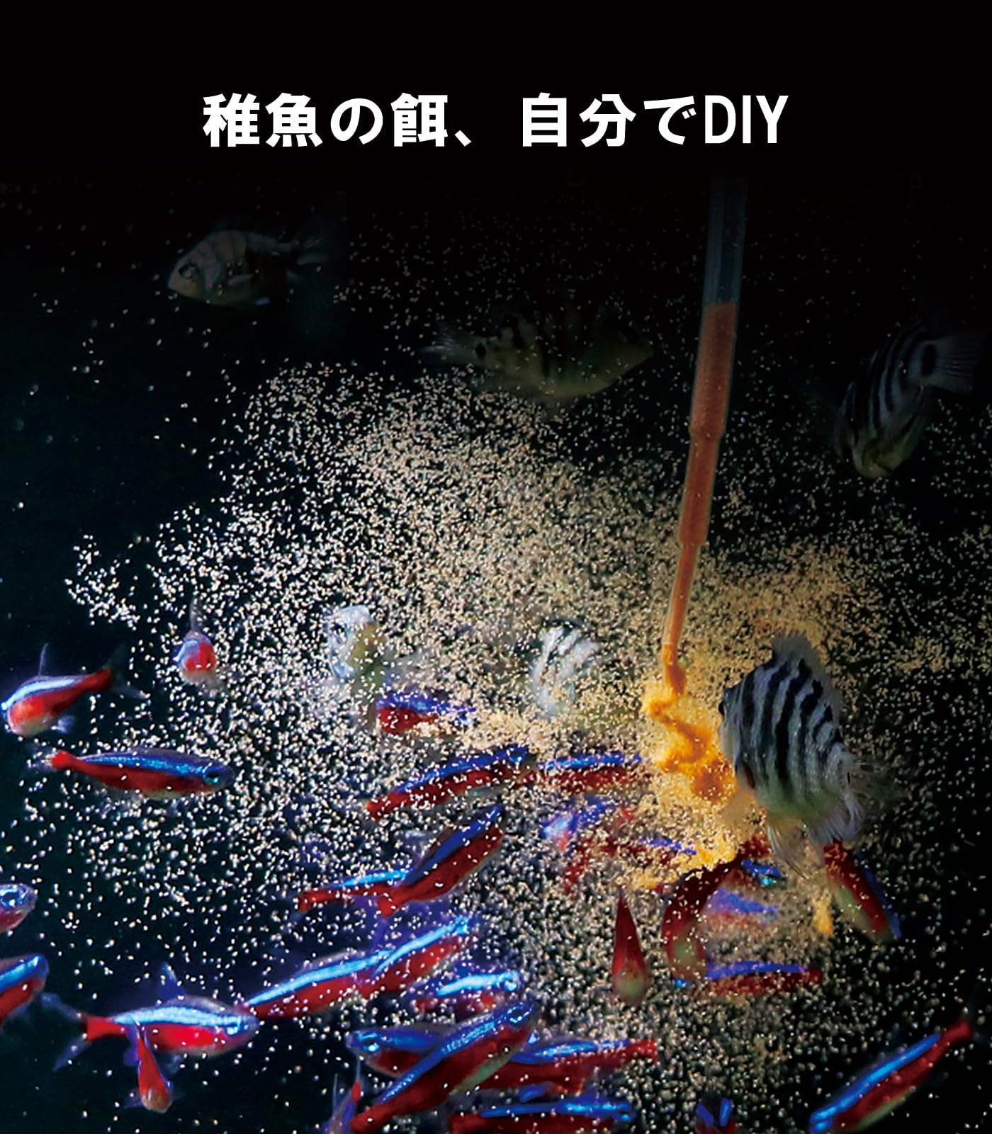 Amazon.co.jp: Clscea H100-jp ブラインシュリンプ孵化器 ブライン